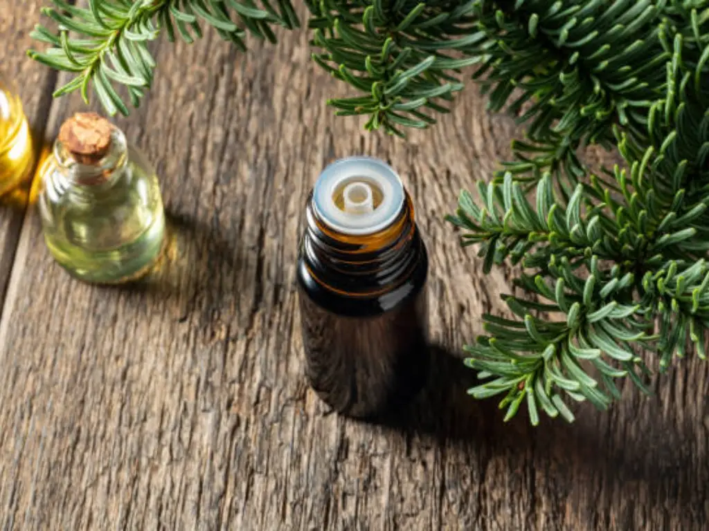 dissemble oil bottle