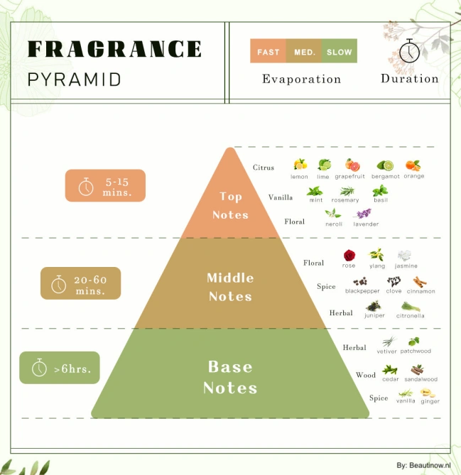 Fragrance Pyramid