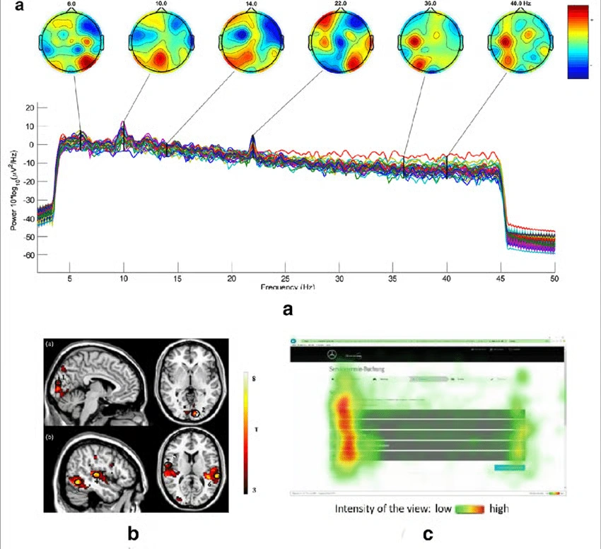 ResearchGate - Neural Recording in Neuromarketing Experiments