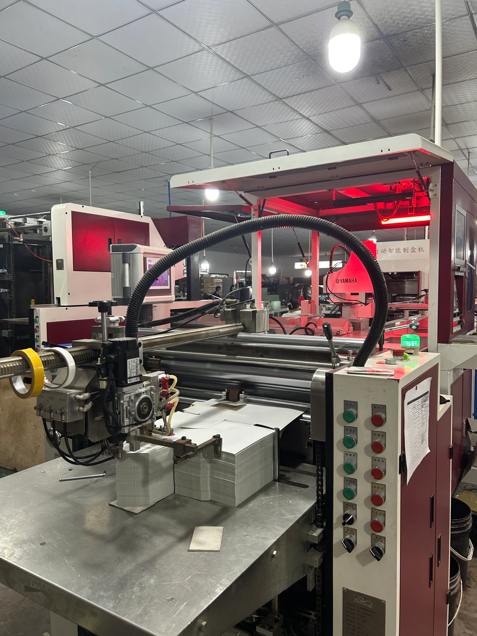 carton production line