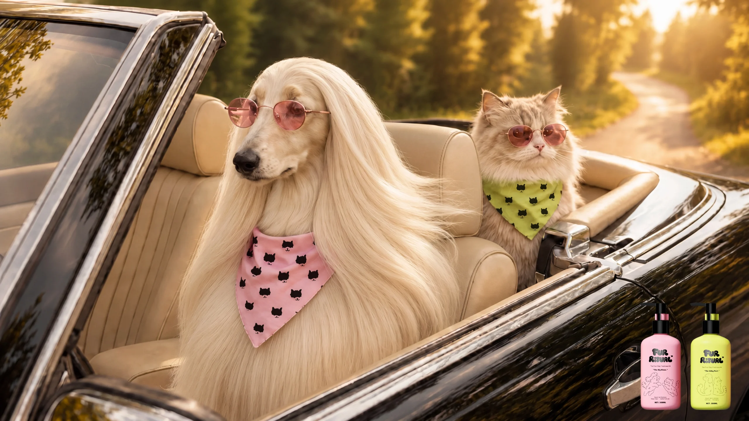 FUR RITUAL brand lifestyle image — groomed dogs styled with branded bandanas, extending the pet grooming packaging identity into content.