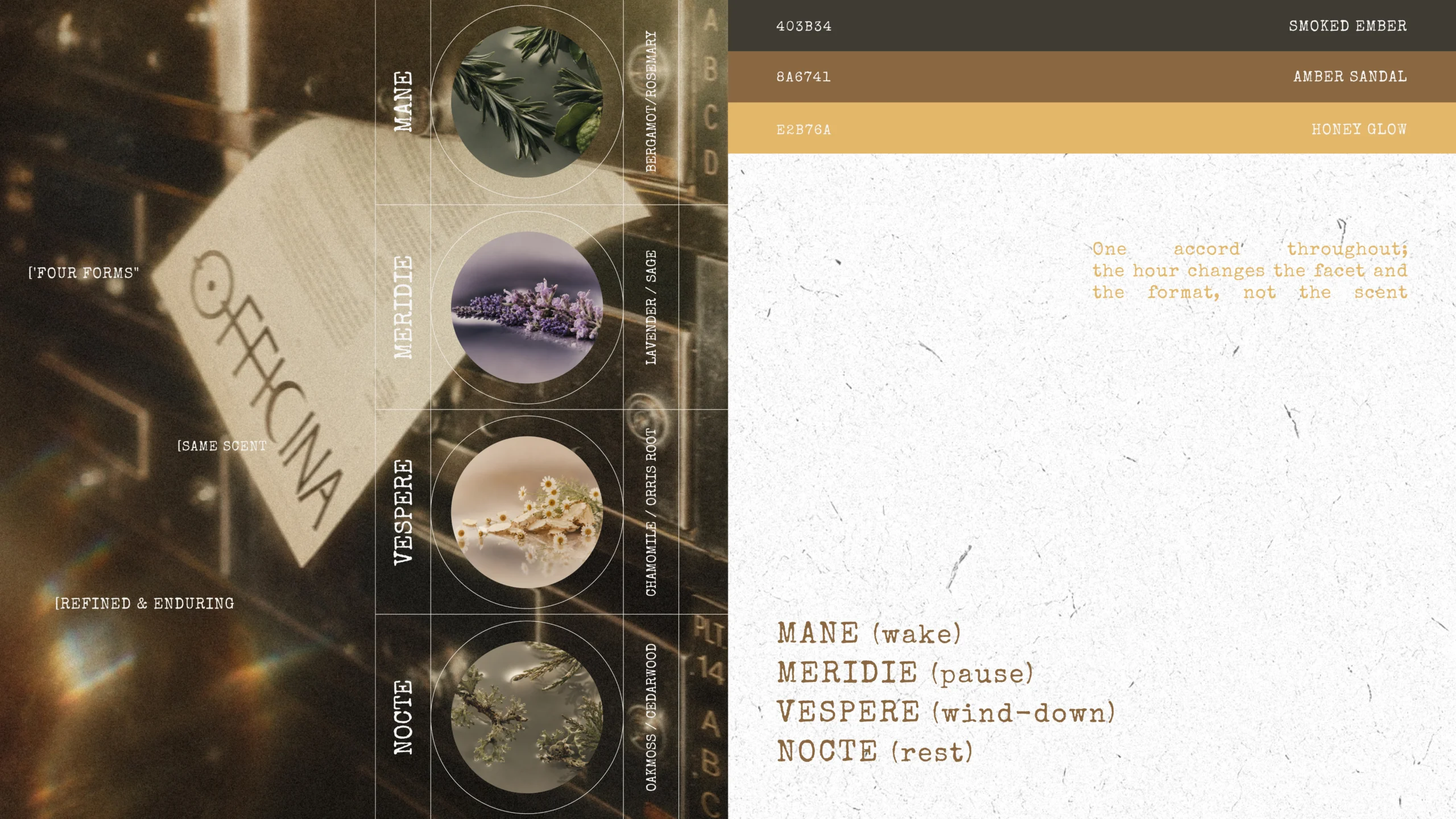 OFFICINA botanical moodboard with rosemary, lavender, chamomile, oakmoss, and warm neutral colors